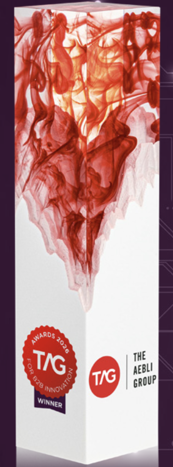 B2B Innovation Award